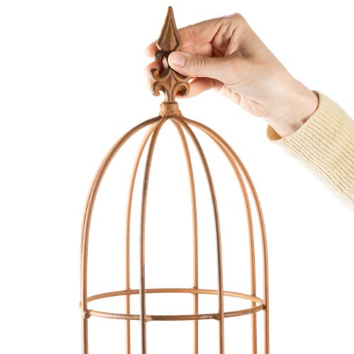 gjenstander Hageespalier, klatrehjelpemiddel for roser og andre klatreplanter, ideelt hagedesign, 108 cm, sett med 2.