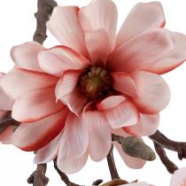 gjenstander Magnolia grein magnolia kunstlaks 58cm