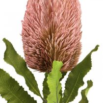gjenstander Kunstig blomst Banksia rosa høstdekorasjon minneblomster 64cm