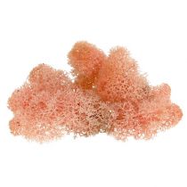 gjenstander Deco mose reinmose rosa 400g