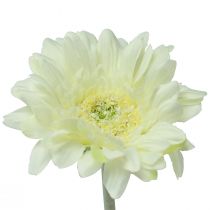gjenstander Kunstige blomster Gerbera Hvit 45cm