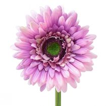 gjenstander Kunstige Blomster Gerbera Hage Kunstige Blomster Lilla 47cm