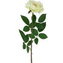 gjenstander Kunstrose, dekorativ rose, silkeblomst kremhvit, grønn L72cm Ø12cm
