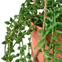 gjenstander Kunstige sukkulenter hengende kunstig plante i potte 34cm