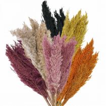 gjenstander Tørr gressharv tørket ulike farger 70cm 10stk