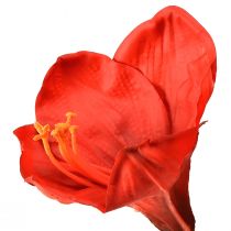 gjenstander Kunstig amaryllis i knallrødt - elegante blomster for luksuriøs romdekorasjon, 66 cm