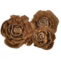 Kegler av sedertre kuttet som en rosesederrose 4-6cm naturlig 50stk