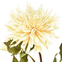 gjenstander Krysantemum krem kunstig blomst med 2 blomster L70cm