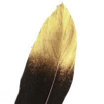 gjenstander Dekorfjær svart gull ekte gåsefjær 15-20cm 50stk