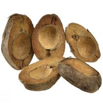 gjenstander Kokos som planteskål naturlig plantepotte 20cm 5 stk