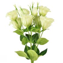 gjenstander Kunstige blomster Eustoma Lisianthus gulgrønn 52cm 5stk