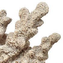 gjenstander Detaljert koralldekorasjon laget av polyresin i grått - 26 cm - maritim eleganse for ditt hjem