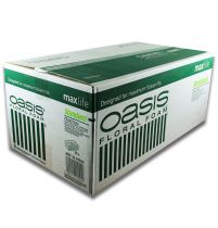 gjenstander OASIS® plug moss maxlife standard 20 klosser