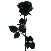 gjenstander Rose Silke Blomst Svart 63cm