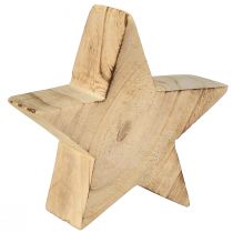 Rustikk dekorativ stjerne laget av paulownia-tre - naturlig design, Ø 15 cm, 6 cm tykk - allsidig tredekorasjon - 2 stk.