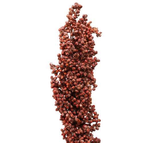 gjenstander Tørkede Blomster Sorghum Hirse Oransje Tørre Blomster 70cm 3stk