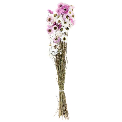 gjenstander Tørkede blomster Hvit Rosa stråblomster 40-45cm 30g