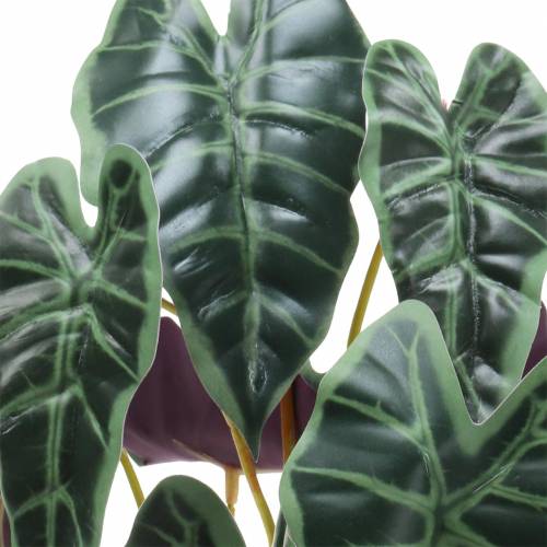 gjenstander Alocasia pil bladgrønn, fiolett kunstplante H48cm