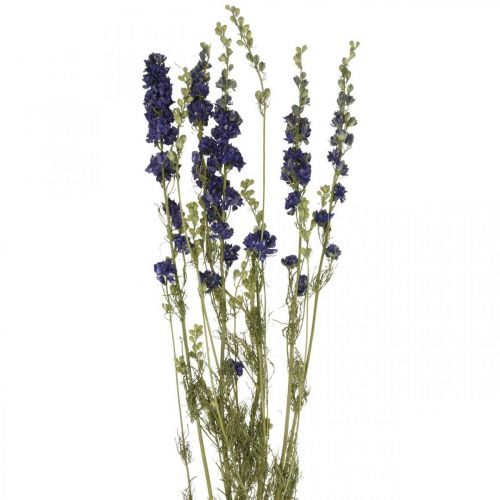 Floristik24 Tørket delphinium, tørr blomsterdekor, delphinium blå L64cm 25g