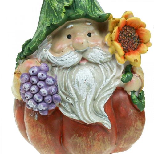 Floristik24 Høst nisse gresskar dekorasjon nisse figur assortert H11,5cm 2stk