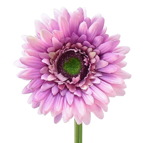 Floristik24 Kunstige Blomster Gerbera Hage Kunstige Blomster Lilla 47cm