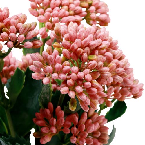 gjenstander Kunstig Fat Høne Sedum Stonecrop blomstrende rosa 47cm 3stk