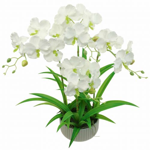gjenstander Kunstige orkideer kunstige blomster i en gryte hvit 60cm