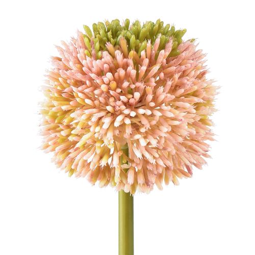 Kunstig allium pryd hvitløk rosa grønn Ø10cm L65cm