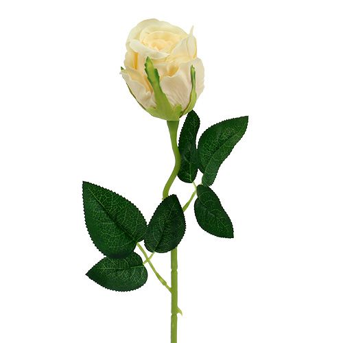 gjenstander Kunstige blomster rose krem Ø6cm L50cm 6stk