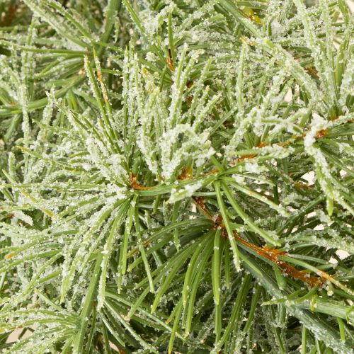 gjenstander Dekorativ lerkgirlander for stemningsfull romdesign, 250 cm