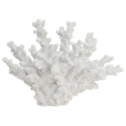 Floristik24 Maritim dekorasjon korall polyresin hvit 18,5×26cm