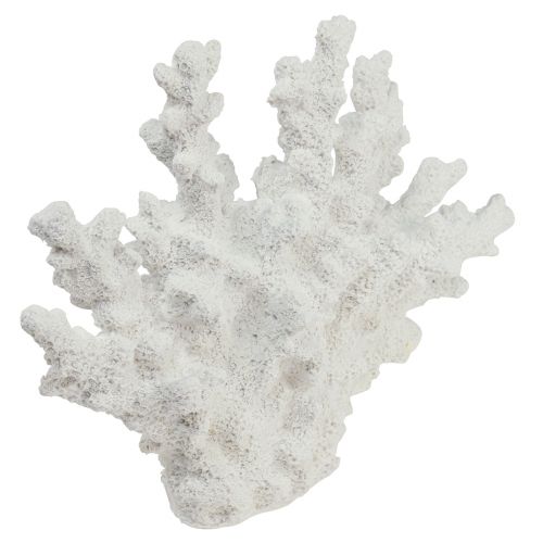 Floristik24 Maritim dekorasjon korall polyresin hvit 18,5×26cm