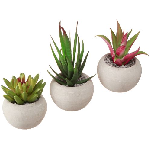 Floristik24 Mini sukkulenter i potte Kunstige planter Dekorasjon Ø6,5cm 6stk