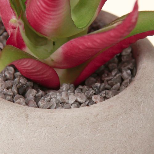 gjenstander Mini sukkulenter i potte Kunstige planter Dekorasjon Ø6,5cm 6stk