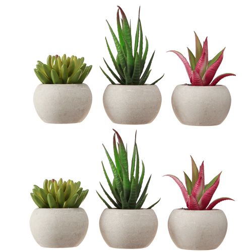 gjenstander Mini sukkulenter i potte Kunstige planter Dekorasjon Ø6,5cm 6stk