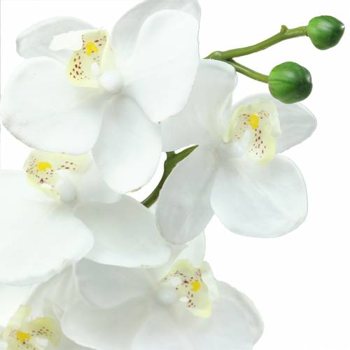 gjenstander Kunstig orkidé kunstig blomst hvit Ø6,5-8cm 77cm