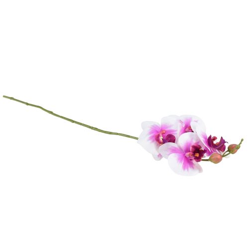 gjenstander Orchid Artificial Phalaenopsis 4 Blomster Hvit Rosa 72cm