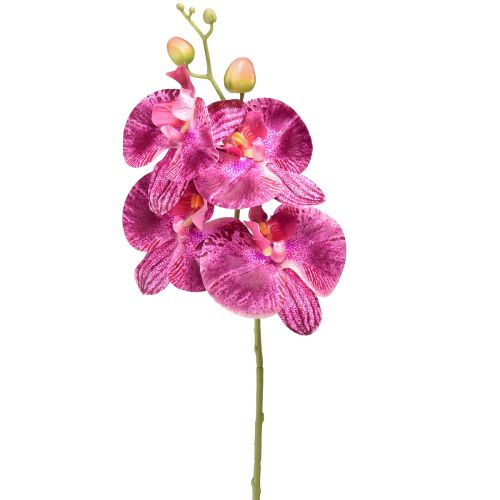 Floristik24 Orkidé flammet kunstig Phalaenopsis lilla 72cm