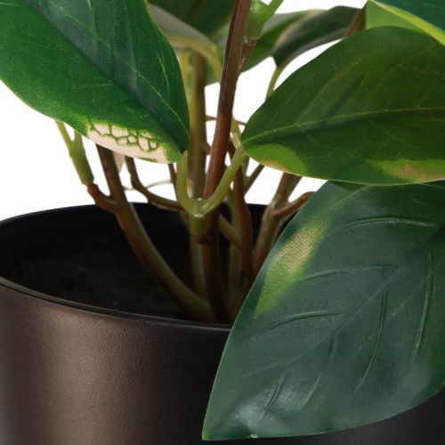 gjenstander Philodendron Scindapsus med potte, lett å ta vare på - ideell for kontor og hjem 32cm