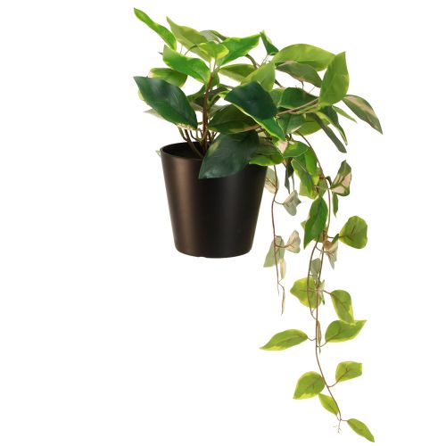 gjenstander Philodendron Scindapsus med potte, lett å ta vare på - ideell for kontor og hjem 32cm