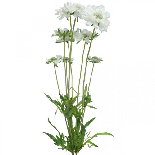 Floristik24 Scabiose kunstig blomst hvit hageblomst H64cm bunt med 3 stk