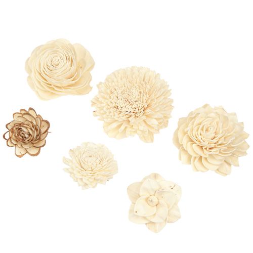 Floristik24 Sola Flowers Tre Treblomster Deco Mix Krem 6-11cm 12-15 stk