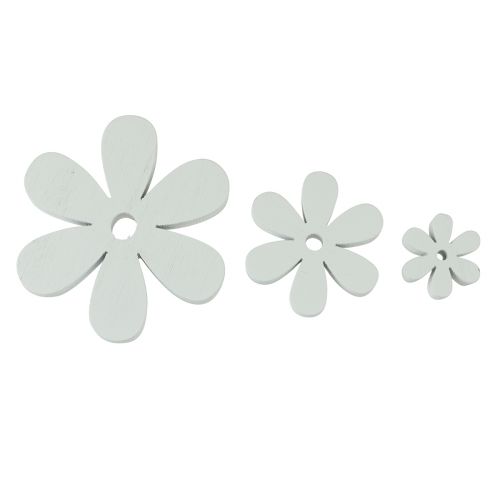 Floristik24 Strødekor trebordsdekor hvite blomster Ø2cm–6cm 20stk