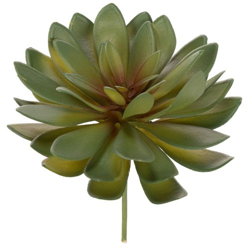 gjenstander Kunstig sukkulent som dekorativ plante, grønn, 18 cm, 3 stk.