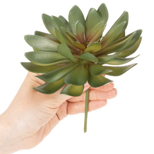 gjenstander Kunstig sukkulent som dekorativ plante, grønn, 18 cm, 3 stk.