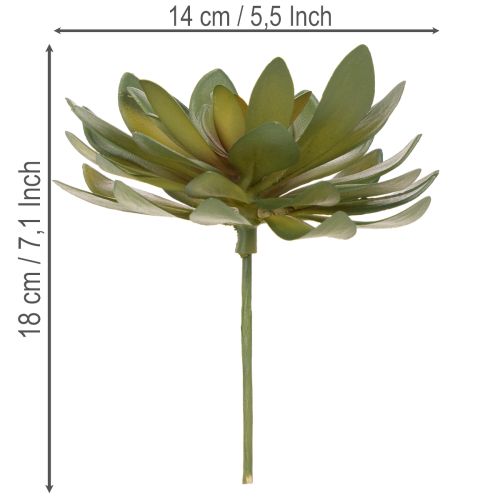 gjenstander Kunstig sukkulent som dekorativ plante, grønn, 18 cm, 3 stk.