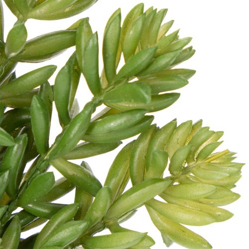 gjenstander Kunstig sukkulentblomst for vedlikeholdsfri design av oppholdsrom og kontorer, 15 cm, 6 stk.