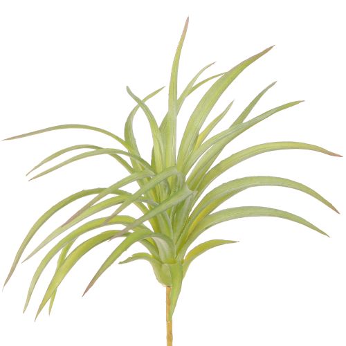 Tillandsia Grønne Kunstplanter med Pinne Ø17cm 3stk