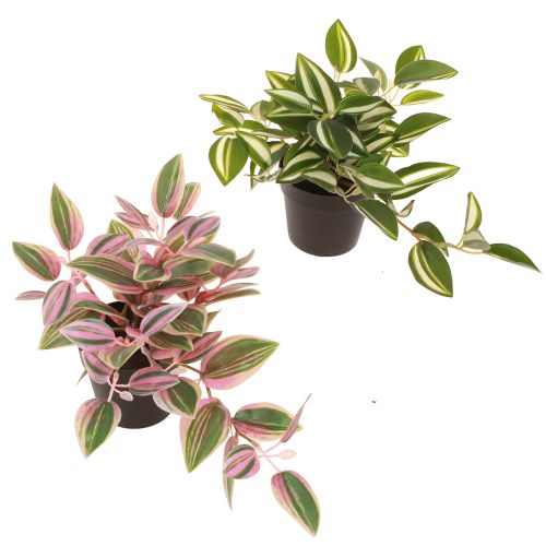 Tradescantia Kunstig grønn plante i potte H19,5cm 2stk