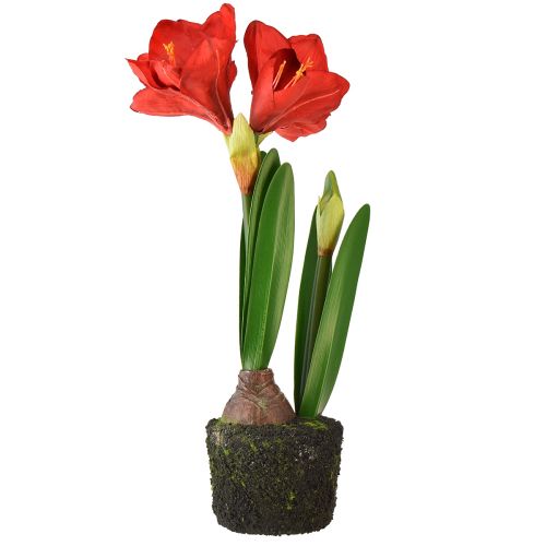 gjenstander Amaryllis i kunstige mosekuler - knallrøde blomster, 49 cm - elegant og naturlig romdekorasjon